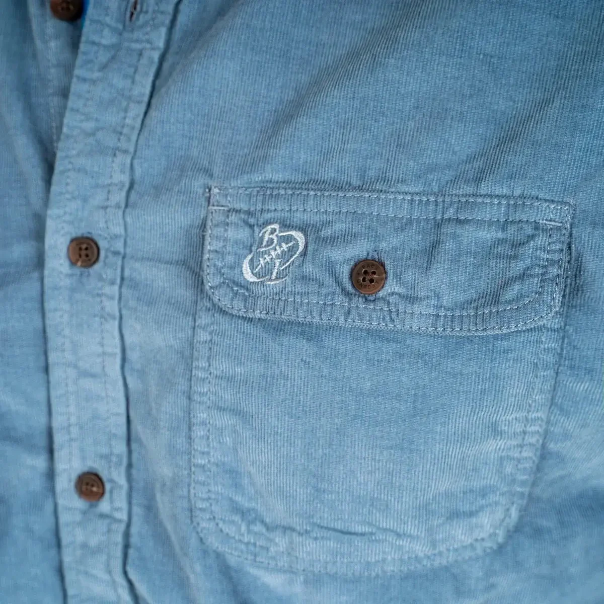 Chemise ml bleu indigo en velours - Image 3