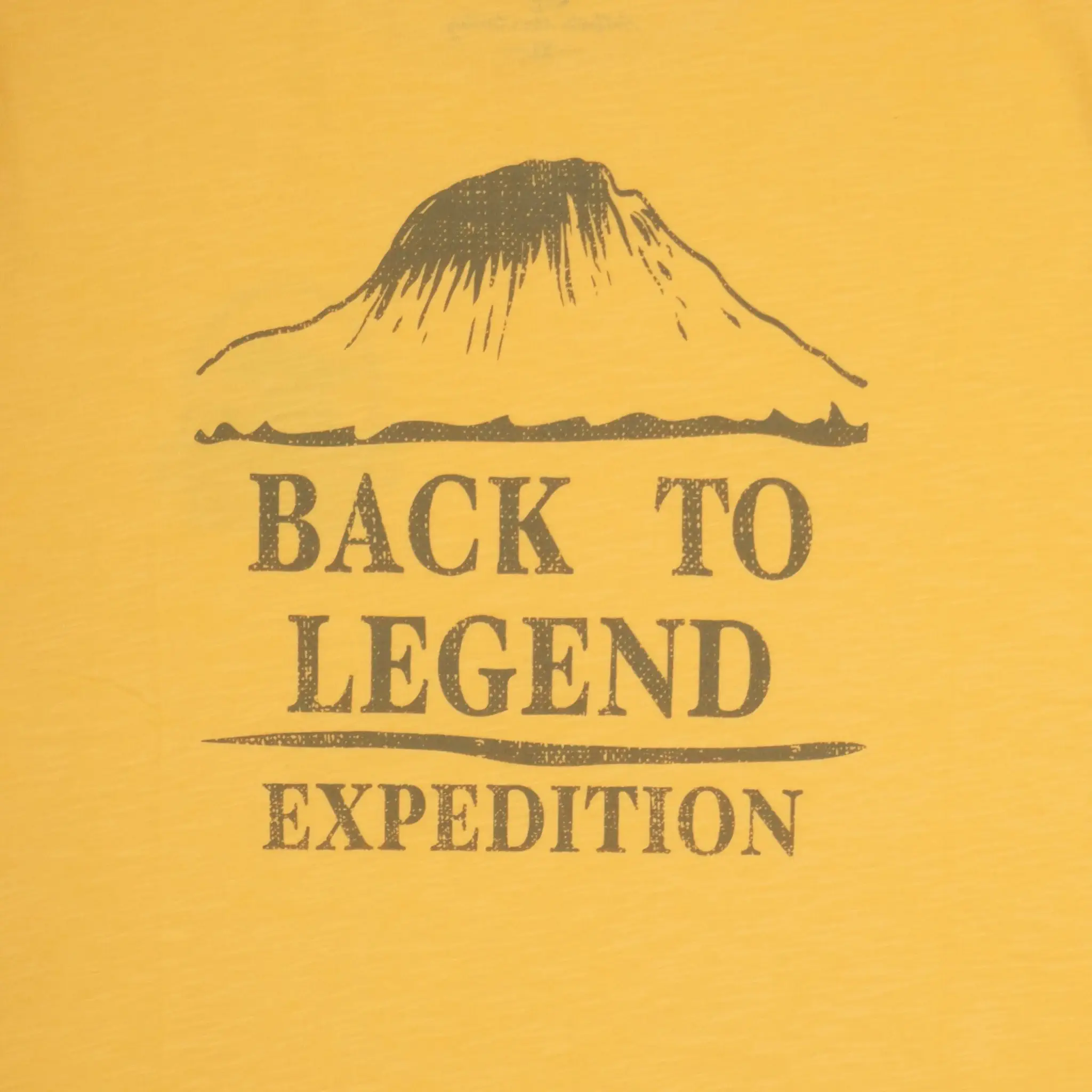 T-shirt expédition jaune ocre col rond - Image 5
