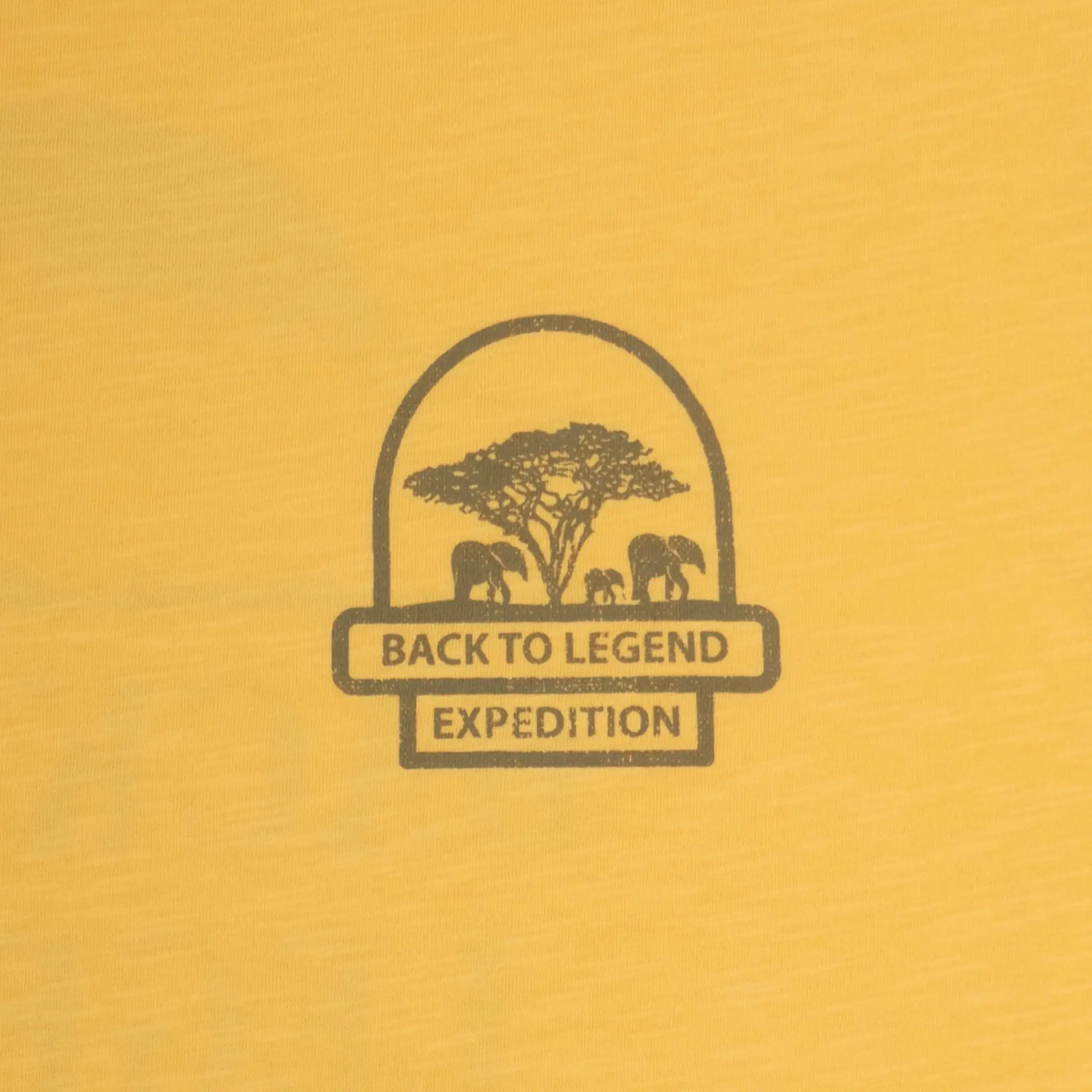 T-shirt expédition jaune ocre col rond - Image 6